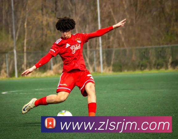 尊龙凯时人生就是博APP 封面图